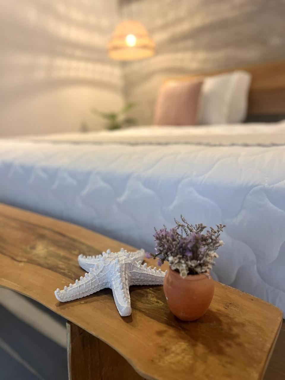 Yba Casa Hotel Ilha Do Mel ปารานากัว ภายนอก รูปภาพ